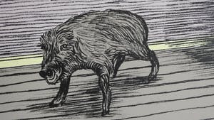 Hewald Jongenelis - Zwijn in Huiskamer kopen? Bied vanaf 49!