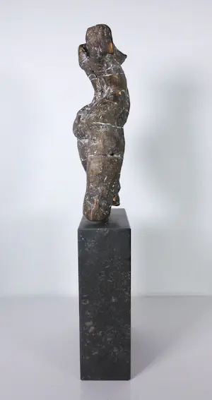 Gerard Engels - Brons, Vrouwentorso op hardstenen voet + 3 boeken! kopen? Bied vanaf 500!