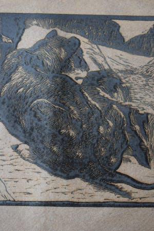 Antonius Hubertus Nordberg - Houtsnede - Leeuw kopen? Bied vanaf 60!