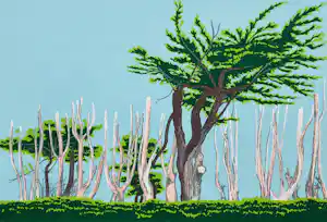 Sees Vlag - Bomen L'íle-Grande verkauft für € 55!