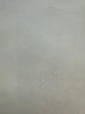 Jan Mankes - Houtsnede Koemelkster kopen? Bied vanaf 200!