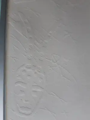 Gea Karhof - Song of the Univers kopen? Bied vanaf 85!