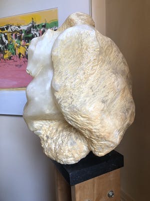 Anton Geerlings - Pegasus kopen? Bied vanaf 400!