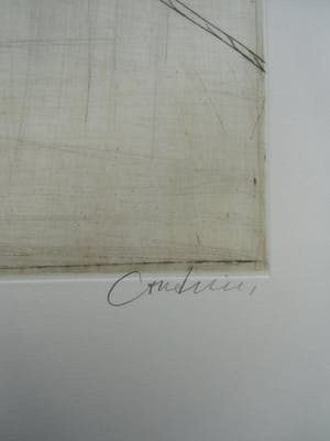 Brigitte Coudrain - PLANTAARDIG STILLEVEN /// KLEURETS VAN BRIGITTE COUDRAIN kopen? Bied vanaf 50!