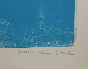 Dirkje Kuik - kleurenlitho oplage 2/5 - ingelijst kopen? Bied vanaf 150!