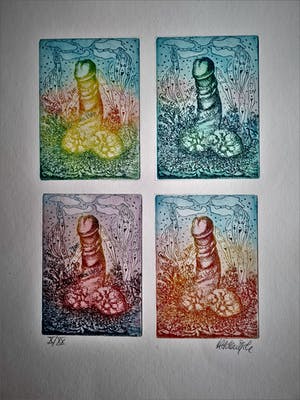 Hadewijch Ouwendijk - Zeer kleine oplage (20ex) Handgekleurde Litho "vier jaargetijden" kopen? Bied vanaf 1!