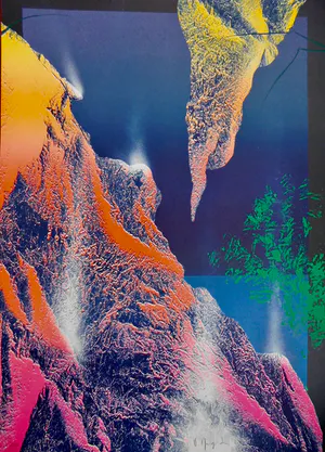 Vincent Mengin-Lecreult - Evolution kopen? Bied vanaf 35!