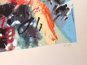 Frank Gude - Voetbal kopen? Bied vanaf 20!