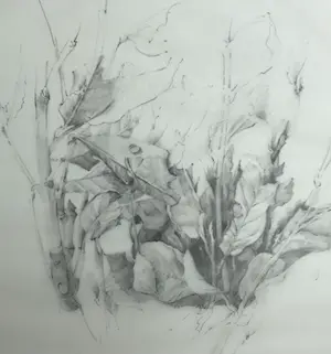 Hiroshi Asada - Prachtige gesigneerde ets kopen? Bied vanaf 45!