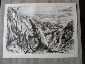 Leo Hofman - Ets, titel, Negev woestijn Israël. kopen? Bied vanaf 15!