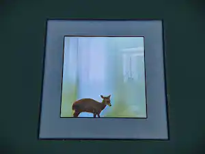Paul den Hollander - Originele silverprint kleuren foto "reflection of a deer" ingelijst -zonder glas kopen? Bied vanaf 60!