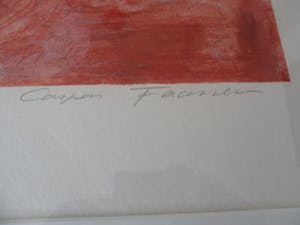 Casper Faassen - kleurenlitho, Leonardo kopen? Bied vanaf 100!