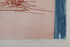 Jan Montyn - Het vuur en water III - 14/20 - 1992 - kleurenets op papier kopen? Bied vanaf 20!