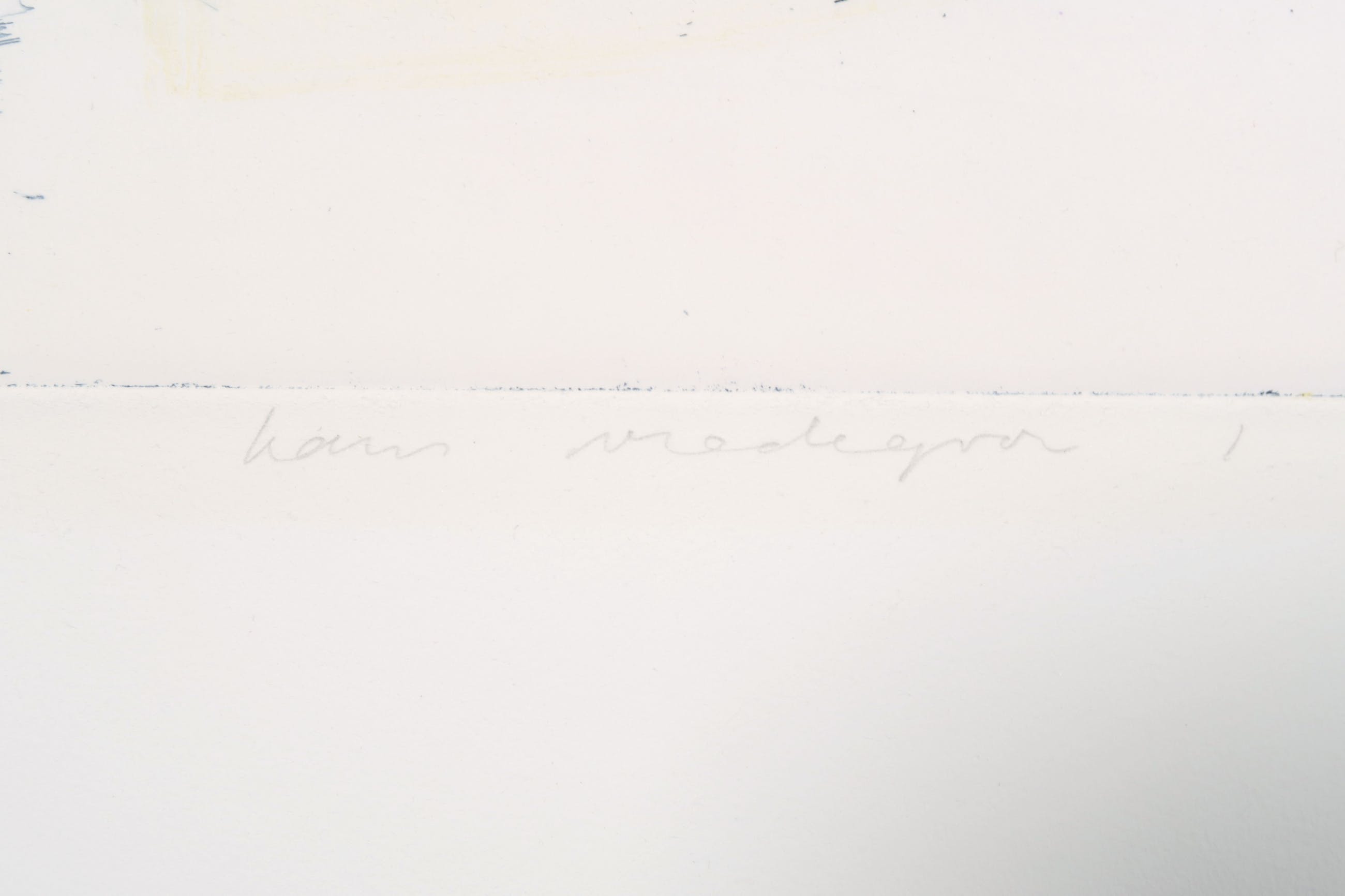 Hans Vredegoor - Ets en aquatint, Z.T. Vogel kopen? Bied vanaf 1!