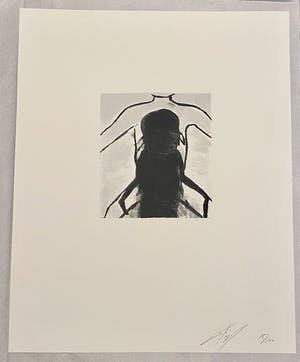 Luc Tuymans - Superstition kopen? Bied vanaf 1100!