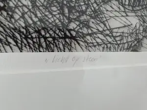 Jan van Krieken - Licht op steen kopen? Bied vanaf 50!