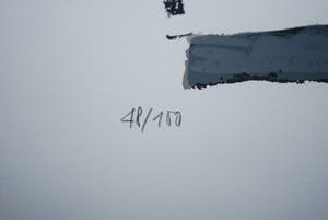 Ellen Meuwese - Wilhelmina -zeefdruk, oplage 100 - incl. beeldje Wilhelmina 1.2 kg kopen? Bied vanaf 30!