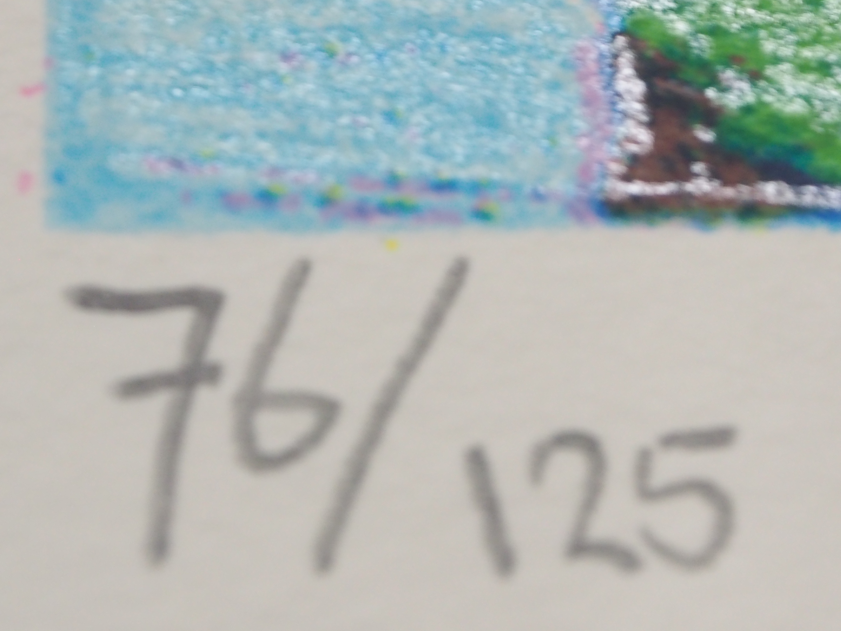 Jentsje Popma - Bollenveld kopen? Bied vanaf 50!