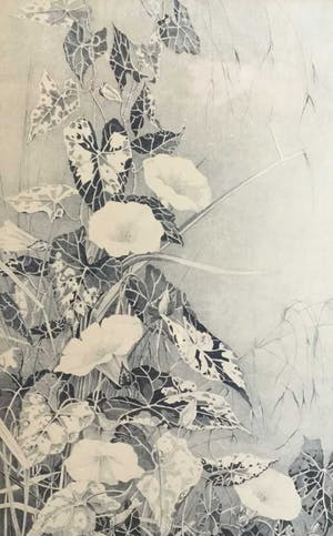 Niet of onleesbaar gesigneerd - C3874 - Windekelken kopen? Bied vanaf 10!