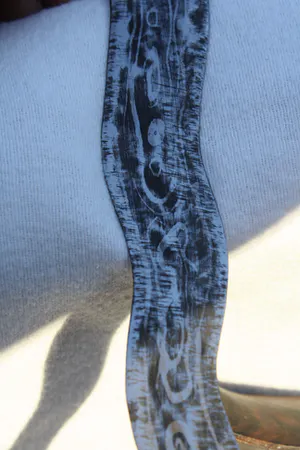 Niet of onleesbaar gesigneerd - Een bijzondere Oude, (LUK 11), Unieke Indonesische Balinese Kris/Keris, kopen? Bied vanaf 1!