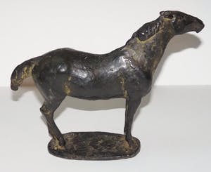 Floyd Tennison Dewitt - Paard kopen? Bied vanaf 850!