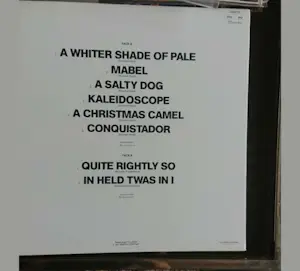 Procol Harum - zeldzame lp kopen? Bied vanaf 25!