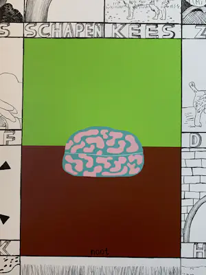 Reinier Lucassen - Leesplank Aap - Noot - Mies kopen? Bied vanaf 79!