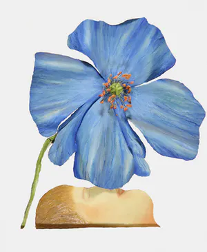 Arja van den Berg - Wandinstallatie in olieverf op zink, Vrouw met blauwe papaver kopen? Bied vanaf 1!