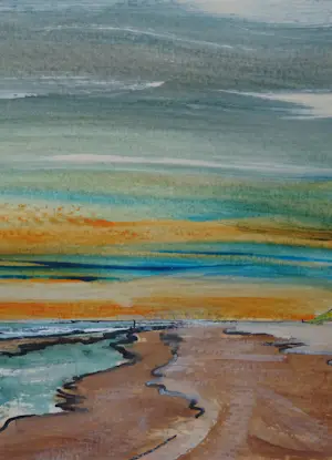 Franklin Meijer - Texel -Strand kopen? Bied vanaf 39!