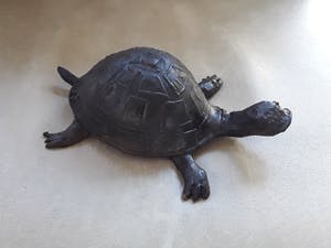 Adri de Waard - Bronzen schildpad van beeldhouwer Adri de Waard. kopen? Bied vanaf 55!