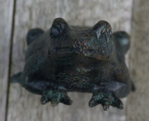 Astrid Veldhuyzen-Koppen - kikker kopen? Bied vanaf 15!