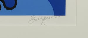 Shunyam - Zeefdruk, Kikker - Ingelijst kopen? Bied vanaf 1!