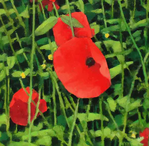 Willem Visser - Klaprozen 3 kopen? Bied vanaf 140!