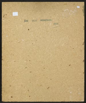 Piero Fassoni - Olieverf op paneel, Rio delle Amazzoni kopen? Bied vanaf 200!