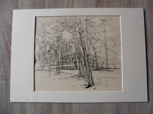 Tjeng Sit Oey - Pen of inkttekening van Bomen kopen? Bied vanaf 20!