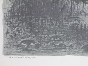 Harry van Kruiningen - Zeeland 1953 - Litho kopen? Bied vanaf 75!