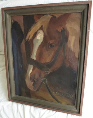 Niet of onleesbaar gesigneerd - Olieverf op doek , “Portret Paard” – gesigneerd & ingelijst kopen? Bied vanaf 10!