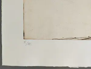 Ronald Tolman - gesigneerde ets kaufen? Bieten Sie von 79!
