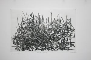 Willem Minderman - "Dood Riet" I t/m VI kopen? Bied vanaf 110!