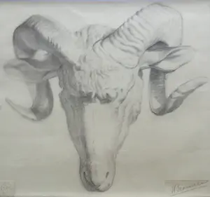 AcheterJan Bronner - ONTWERPTEKENING ORNAMENT / ORIGINEEL WERK / 51x41cm / KADER / SIG / 1899? Enchérissez de 25!