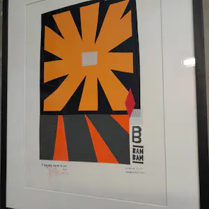 Benjamin Van Oost - Starling kopen? Bied vanaf 195!