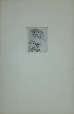 Enno Brokke - Paard met riet kopen? Bied vanaf 35!