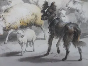 Henriette Ronner-Knip - (1821-1909) Schapen en Honden in Deuropening Schaapskooi kopen? Bied vanaf 250!