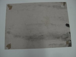 Jo Manders - Jaren 60 Illusionistisch realisme - Grote "Insecten" Sepia tekening - gesigneerd kopen? Bied vanaf 20!