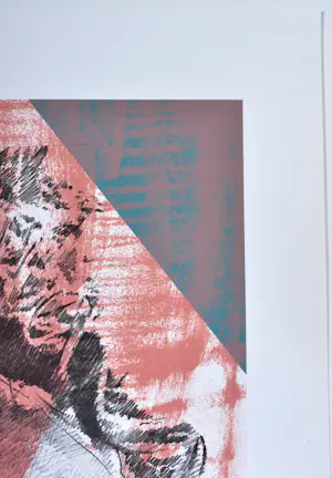 Pol Mara - Zeefdruk - Gesigneerd - 42x55 cm - 1977 kopen? Bied vanaf 120!