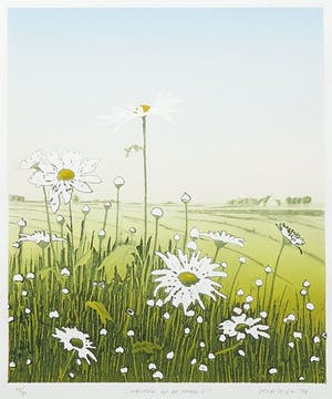 Henk Kastelijn - Kleurenets, Wachten op de Zomer I - Ingelijst kopen? Bied vanaf 20!