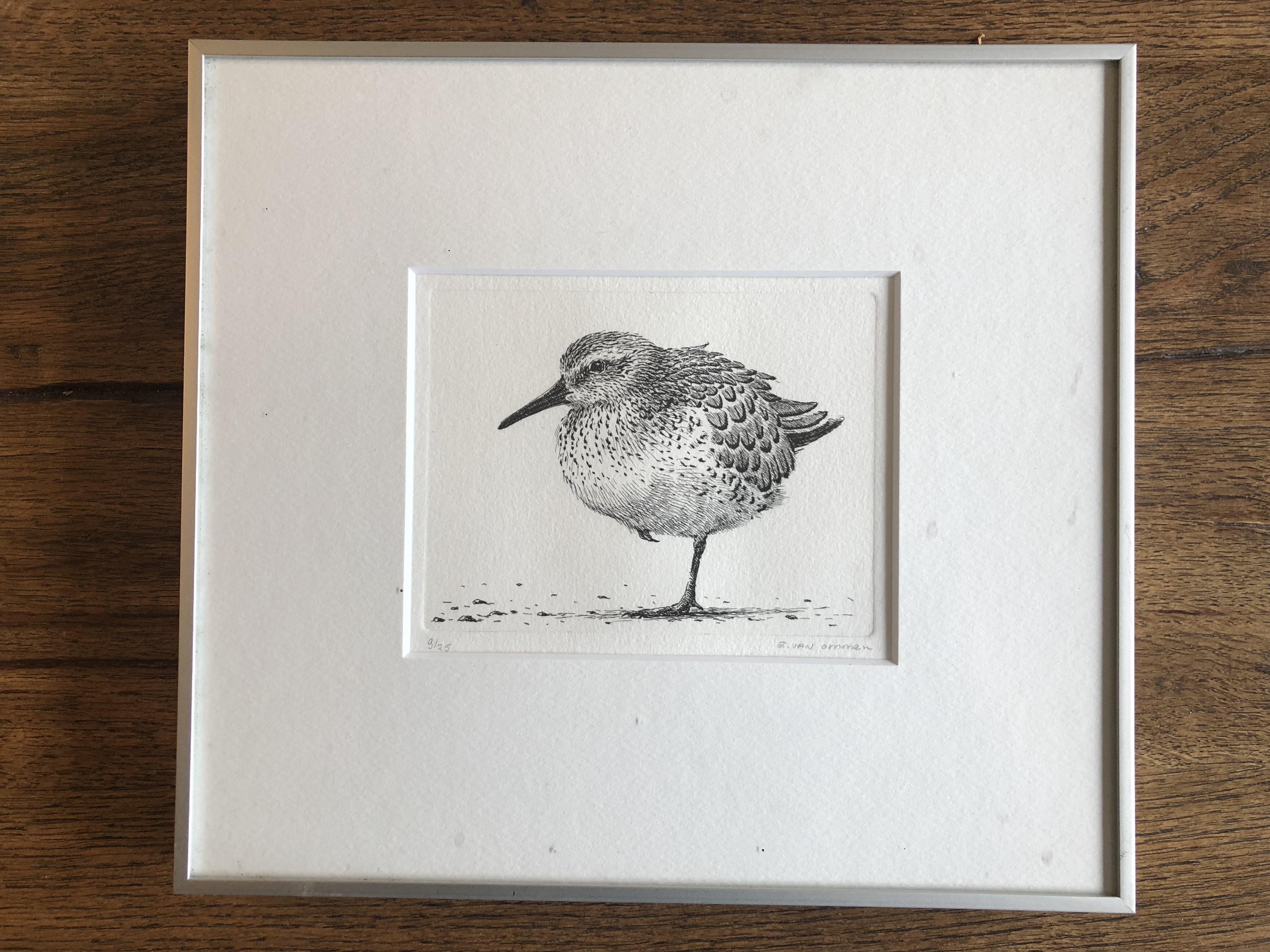 Erik van Ommen - geen titel kopen? Bied vanaf 25!