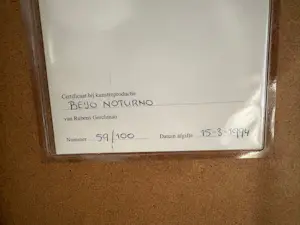 Rubens Gerchman - Beijo Noturno kopen? Bied vanaf 2500!
