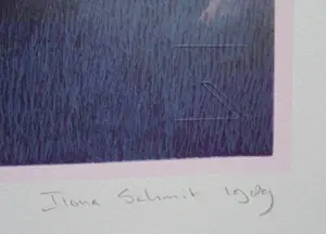 Ilona Schmit - Prachtig, groot winterlandschap met eenden en ondergaande zon. kopen? Bied vanaf 95!