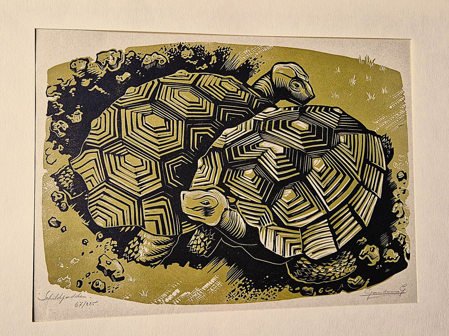 Gerard Gaudaen - Mooie kleuren Houtsnede "schildpadden" - gelimt. oplage (67/225) - potloodges. kopen? Bied vanaf 34!